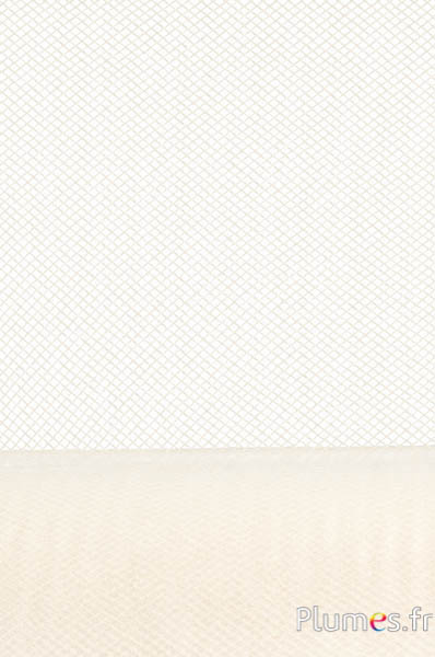 Krinoline - Breite 15.2 cm - creme